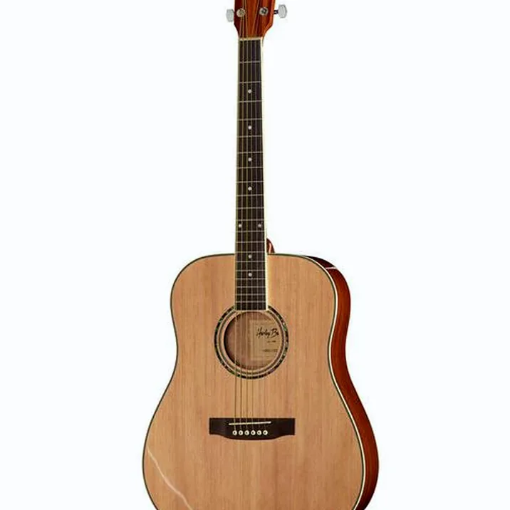 Harley Benton D-120NT