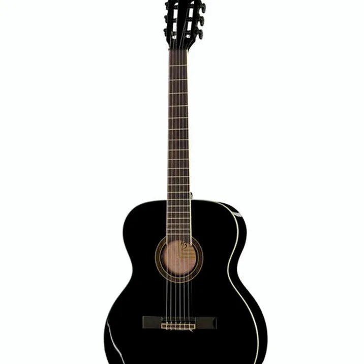 Harley Benton Santos Series C-40S BK