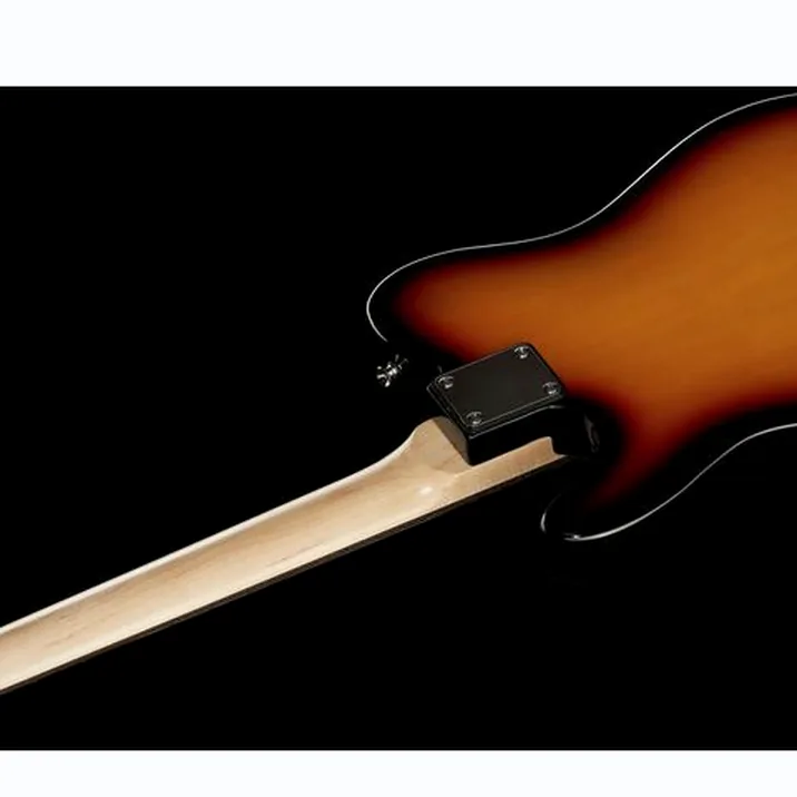 Harley Benton Te 20 Sb Standard Series Set 4