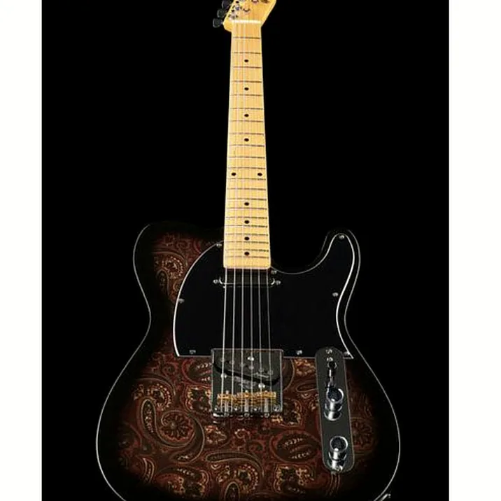 Harley Benton Te 70 Black Paisley
