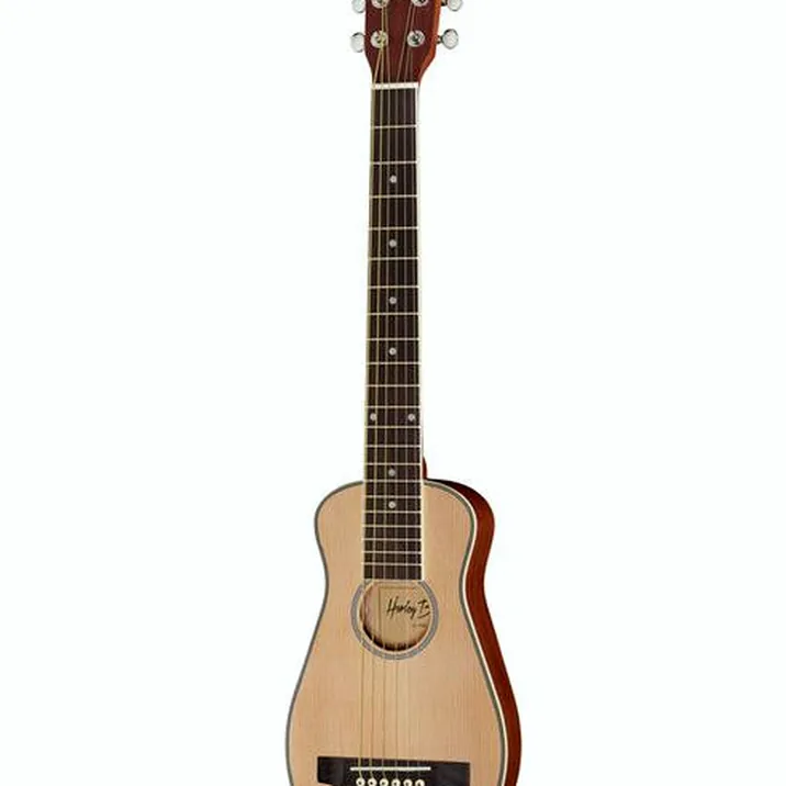 Harley Benton Traveler-Steel