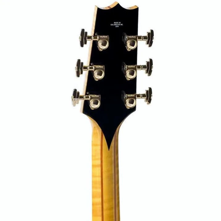 Heritage Guitar Eagle Classic An