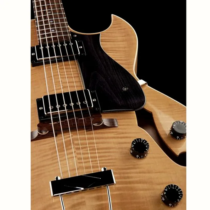 Heritage Guitar H 575 An