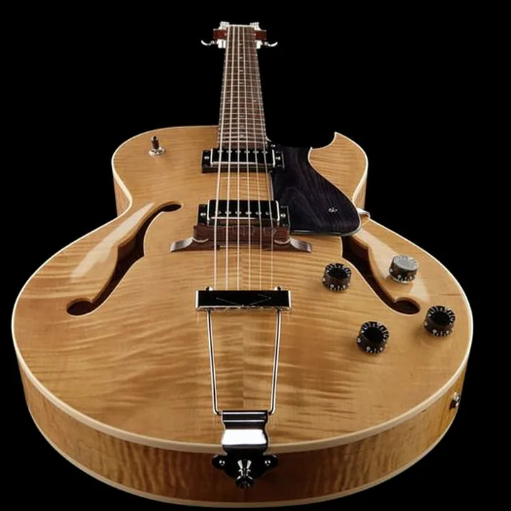 Heritage Guitar H 575 An