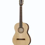 Höfner HGL14 Green Line : Especificaciones, Precio y Opiniones
