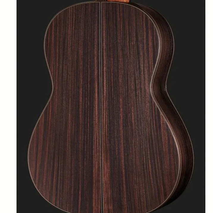 Hoefner Hm89 0 Master Classic Guitar
