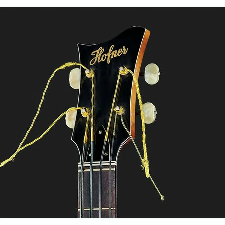 Hoefner Violin Roof Top Bass 69