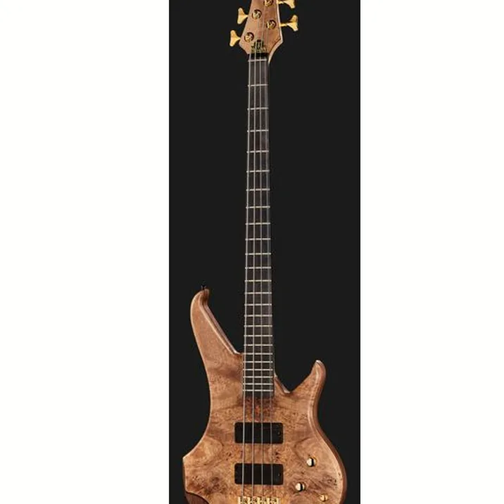 Human Base Max 4 Walnut Burl