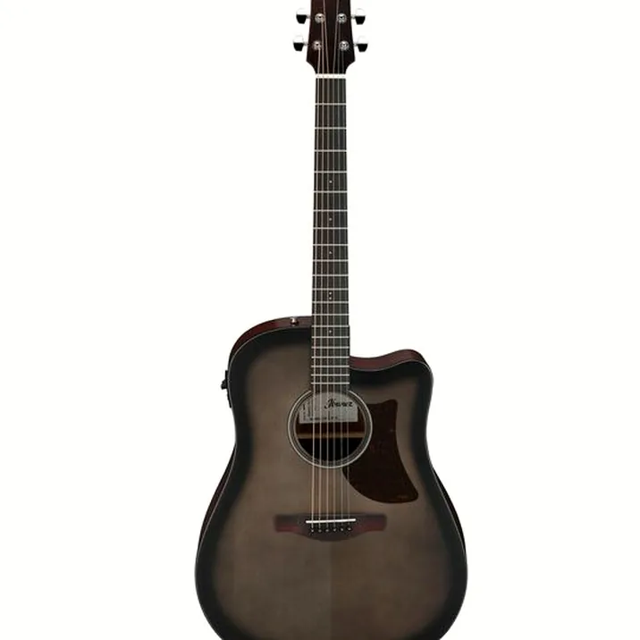 Ibanez AAD50CE-TCB