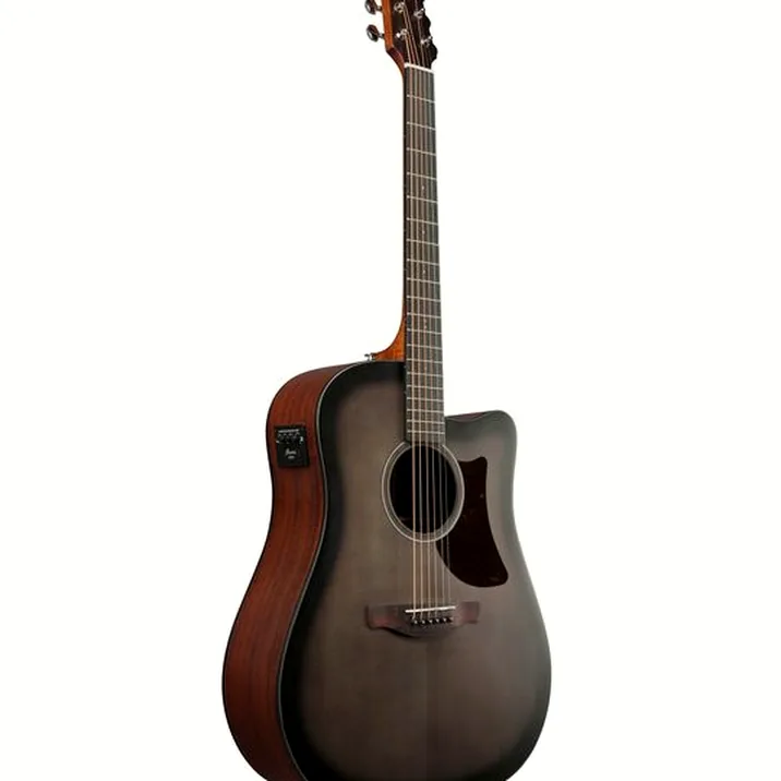 Ibanez AAD50CE-TCB