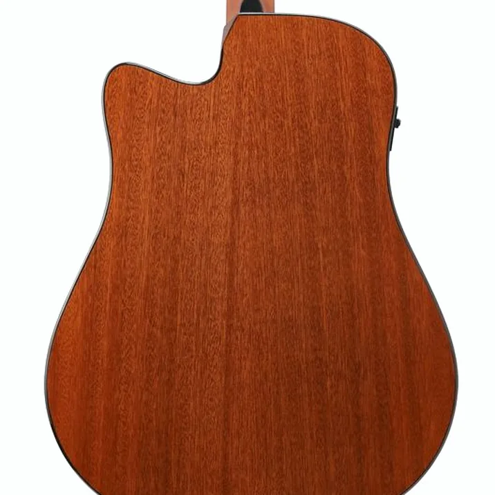 Ibanez AAD51CE-NT