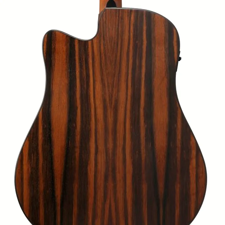 Ibanez AAD70CE-TBN