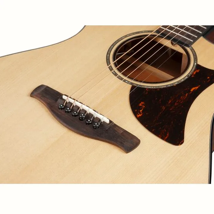 Ibanez AAM300CE-NT