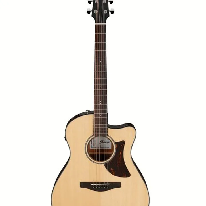 Ibanez AAM300CE-NT