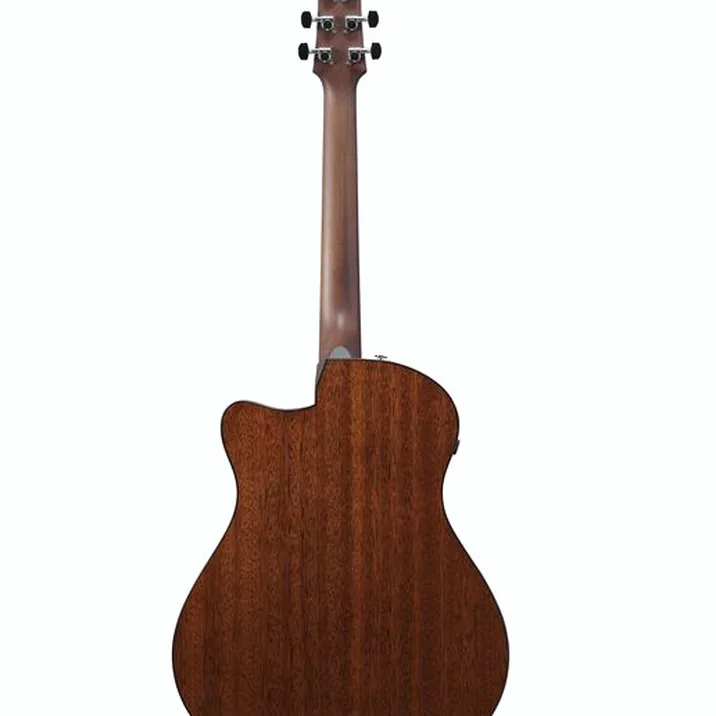 Ibanez AAM300CE-NT
