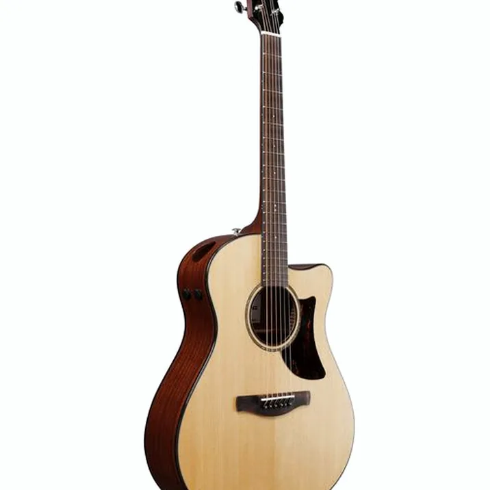 Ibanez AAM300CE-NT