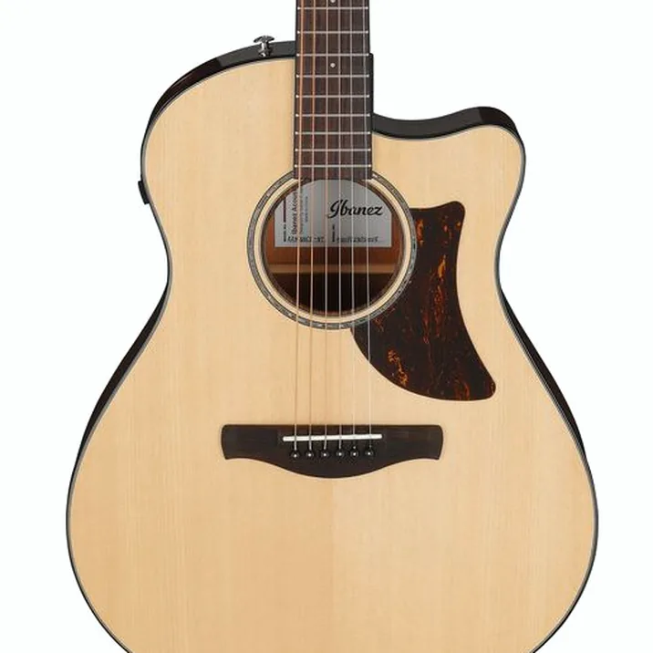 Ibanez AAM300CE-NT