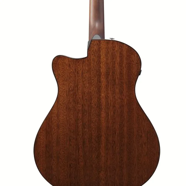 Ibanez AAM300CE-NT