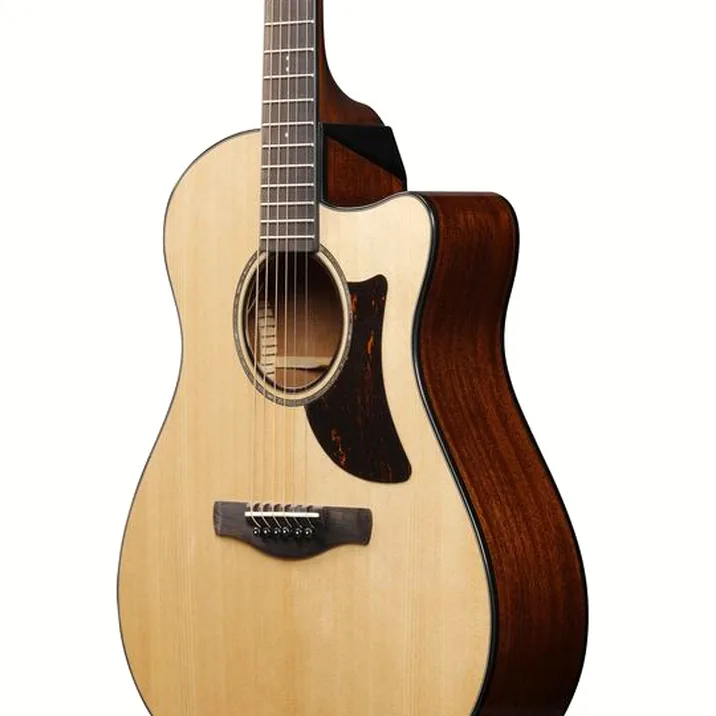 Ibanez AAM300CE-NT