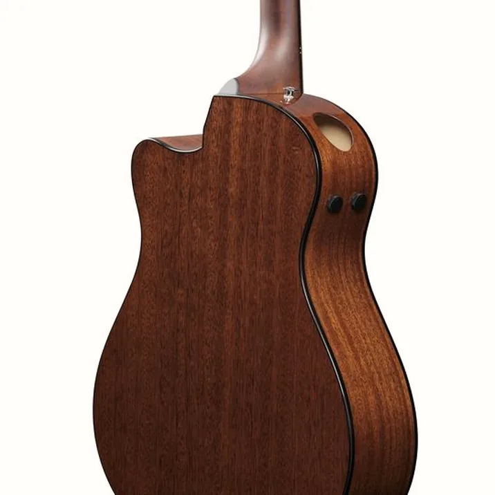 Ibanez AAM300CE-NT