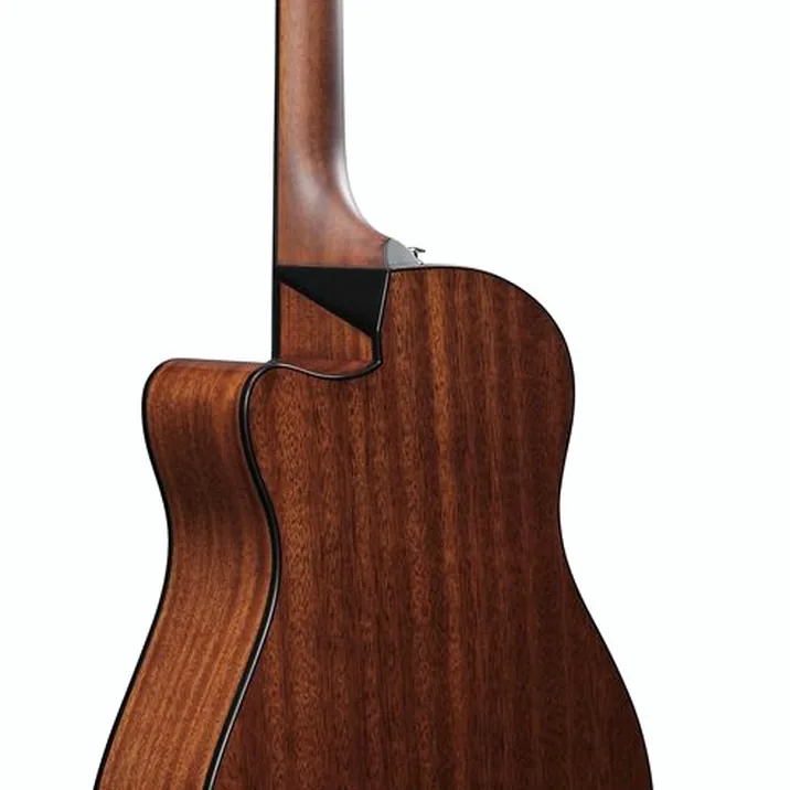 Ibanez AAM300CE-NT