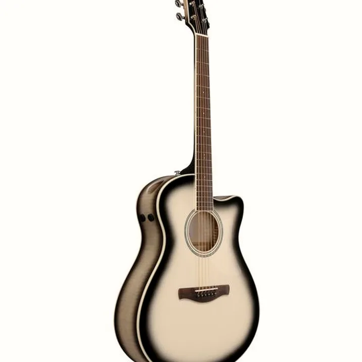 Ibanez AAM370M1CE-TPA