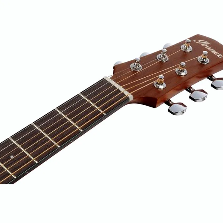 Ibanez AAM50LCE-OLB