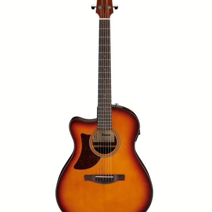 Ibanez AAM50LCE-OLB