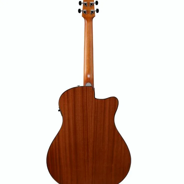 Ibanez AAM50LCE-OLB