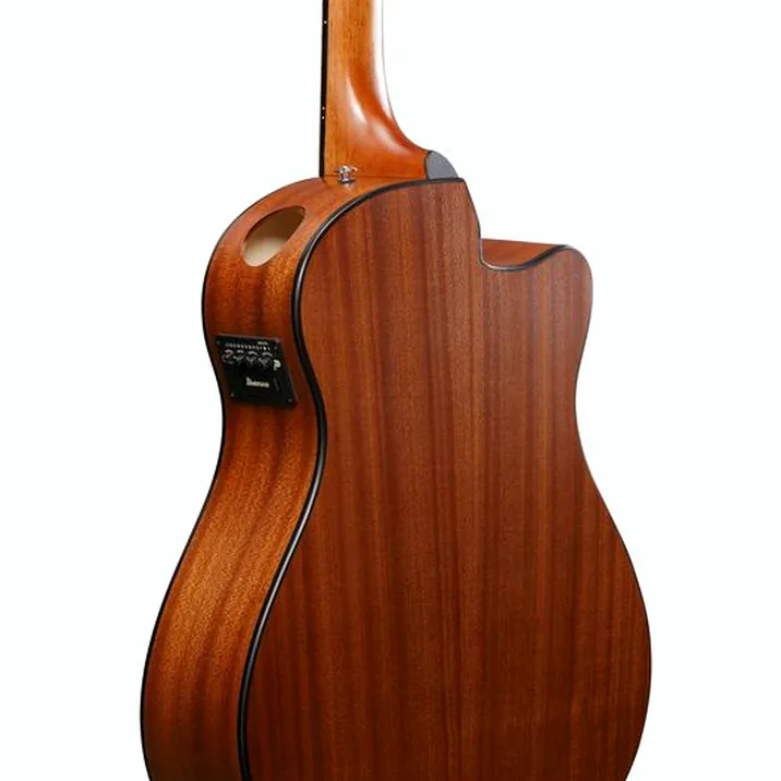 Ibanez AAM50LCE-OLB