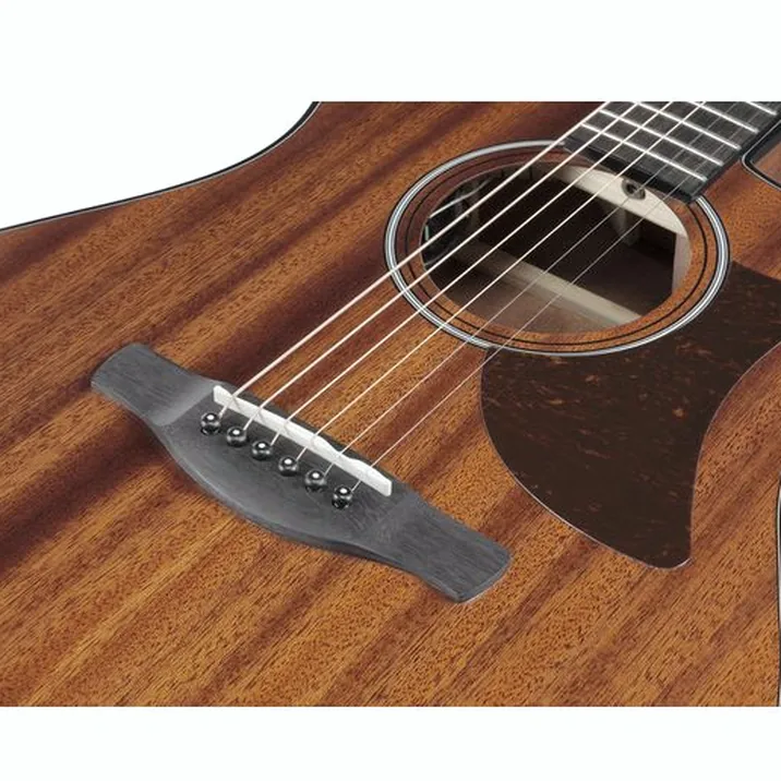 Ibanez AAM54CE-OPN