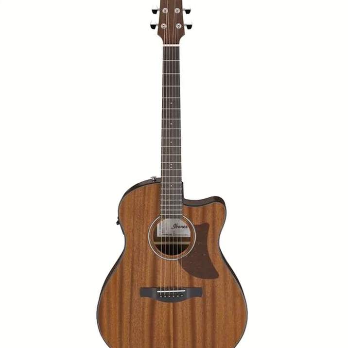 Ibanez AAM54CE-OPN