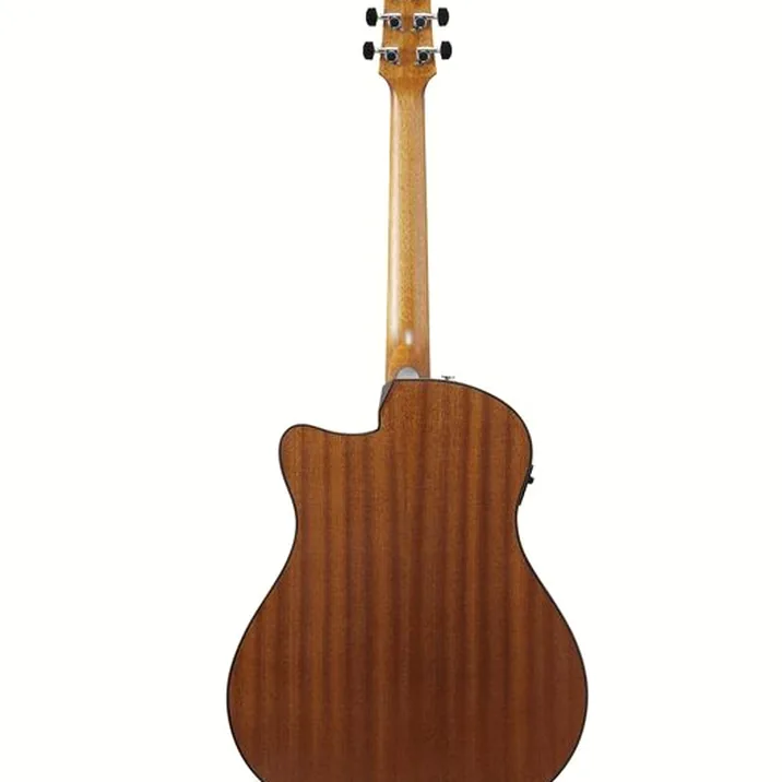 Ibanez AAM54CE-OPN