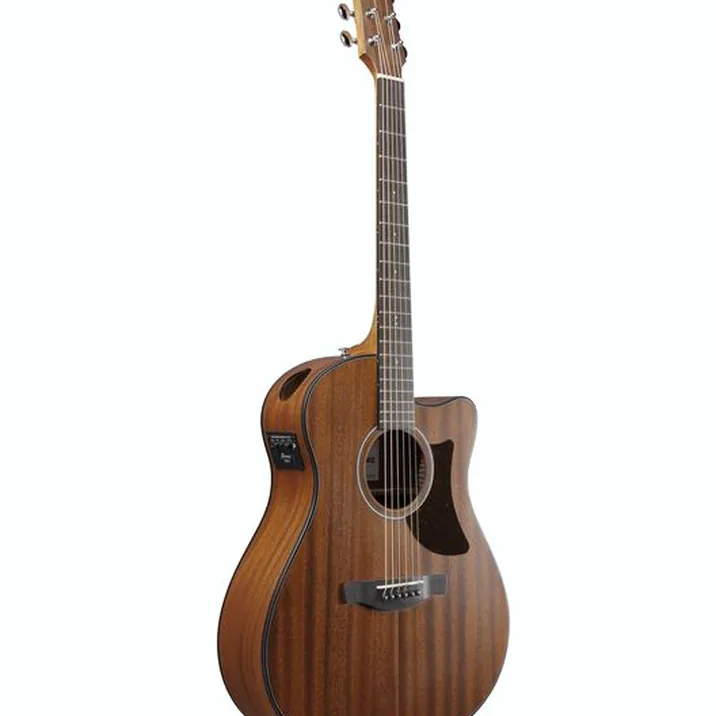 Ibanez AAM54CE-OPN