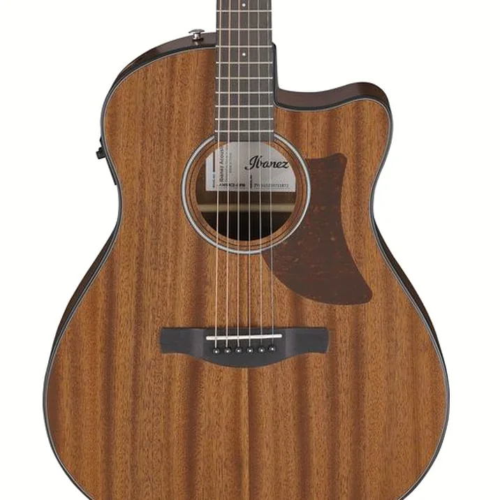 Ibanez AAM54CE-OPN