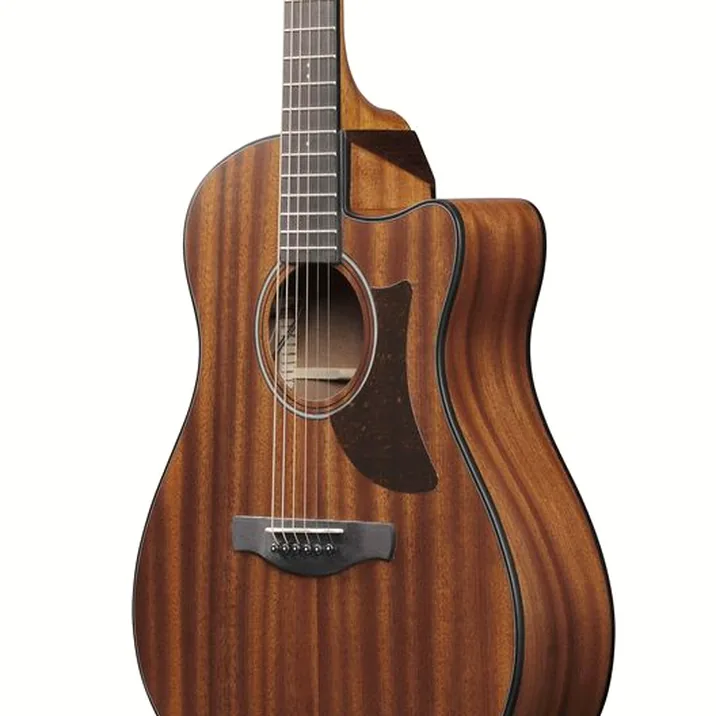 Ibanez AAM54CE-OPN