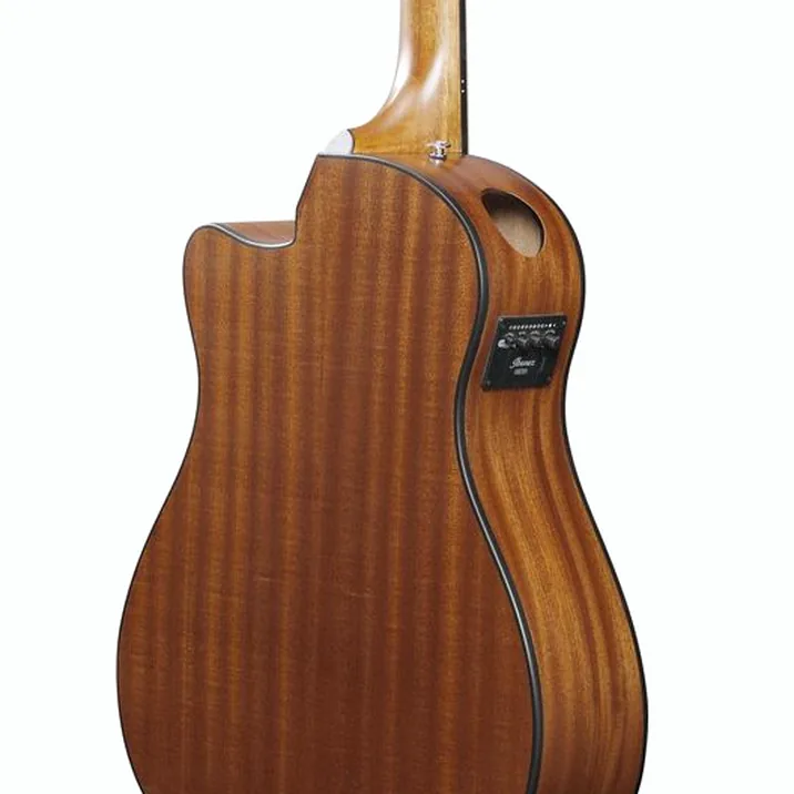 Ibanez AAM54CE-OPN