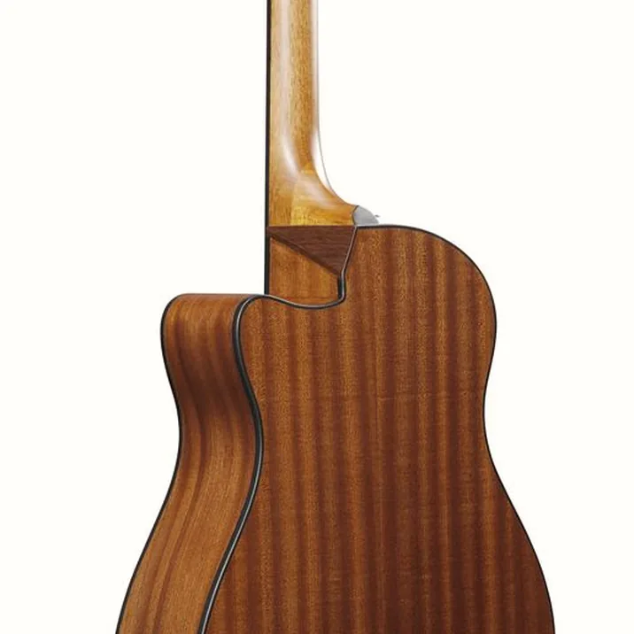 Ibanez AAM54CE-OPN