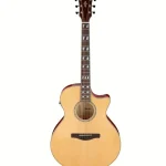 Ibanez AE170-NTR : Review de experto, sonido y precio