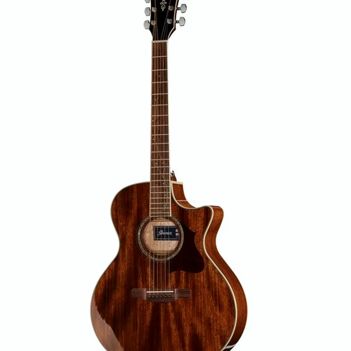 Ibanez AE245-NT