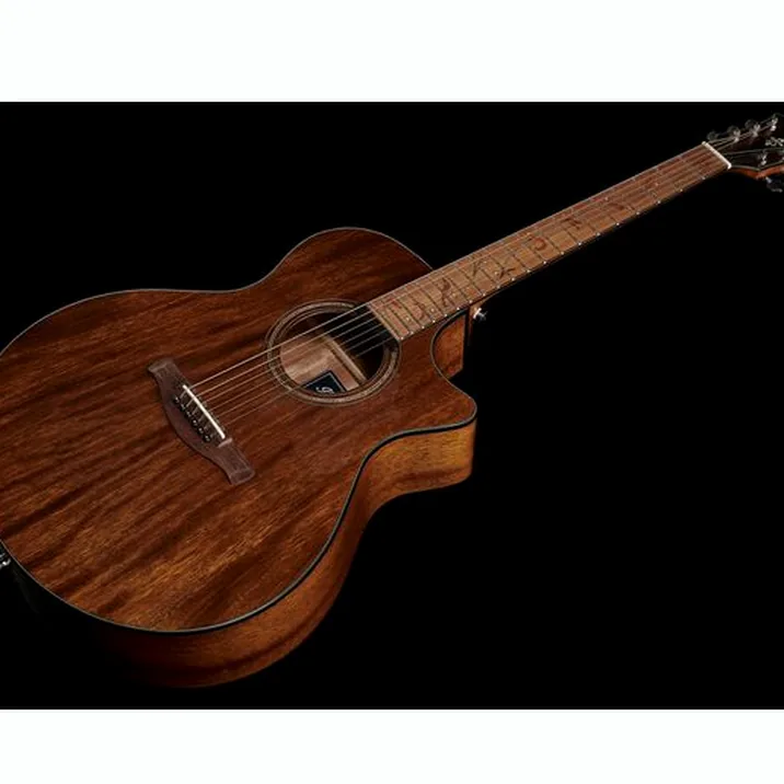 Ibanez Ae295 Lgs