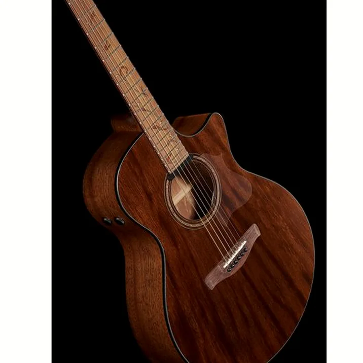 Ibanez Ae295 Lgs