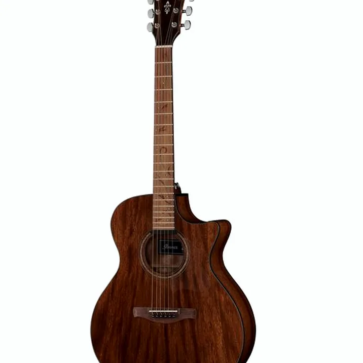 Ibanez AE295-LGS