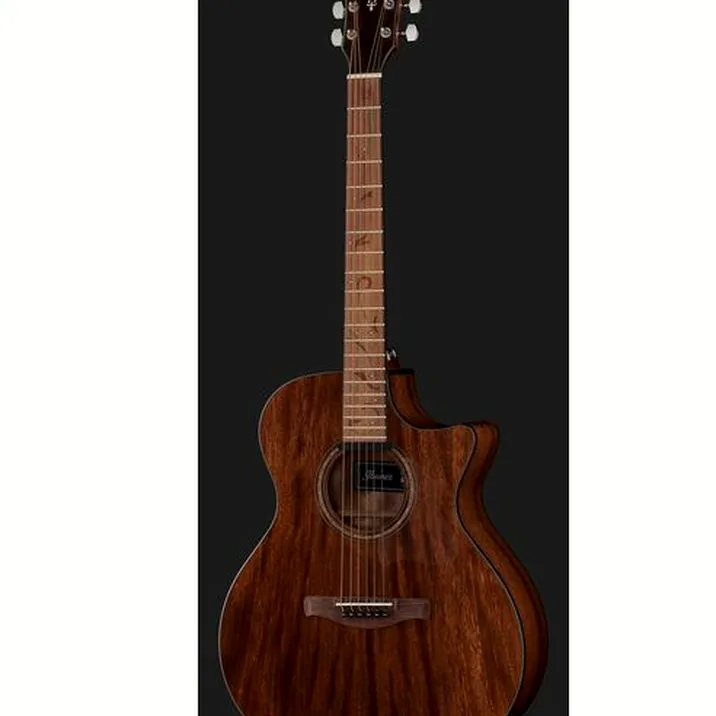 Ibanez AE295-LGS