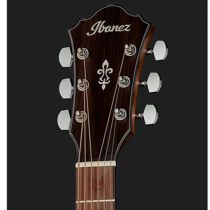 Ibanez Ae295 Lgs