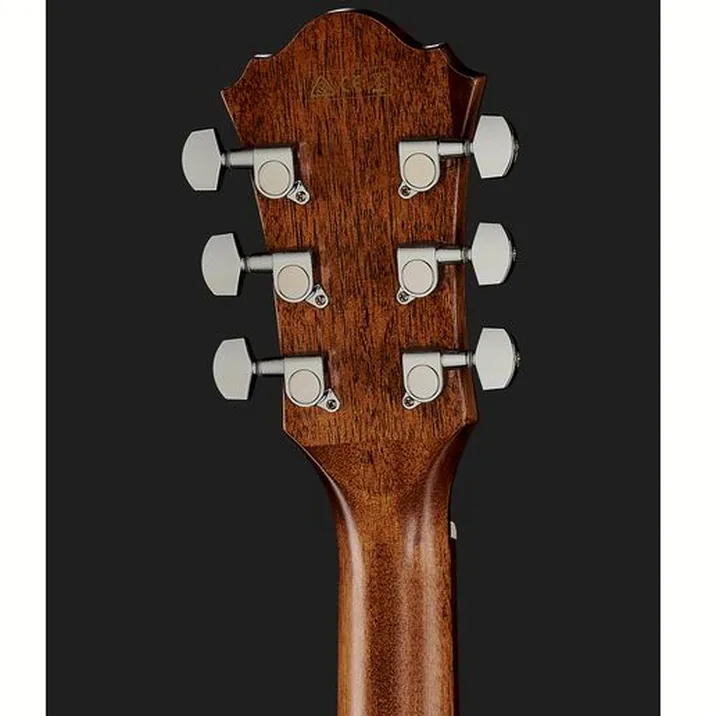 Ibanez Ae295 Lgs
