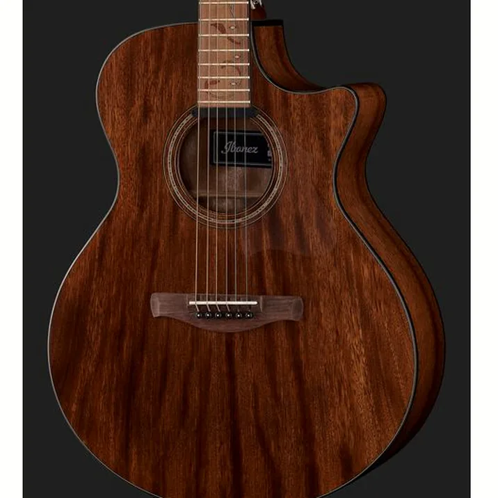 Ibanez Ae295 Lgs