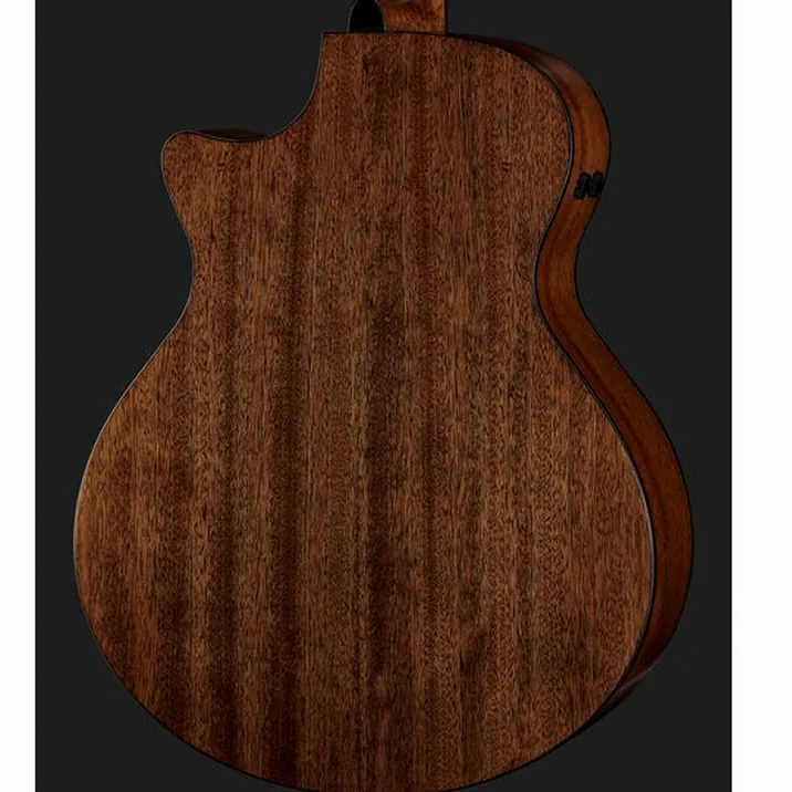 Ibanez Ae295 Lgs