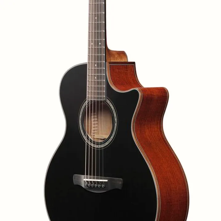 Ibanez Ae300Fbjr Bop