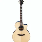 Ibanez AE390-NTA : Reseña honesta y prueba de sonido